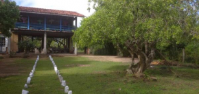 Cozye Yala Hostel